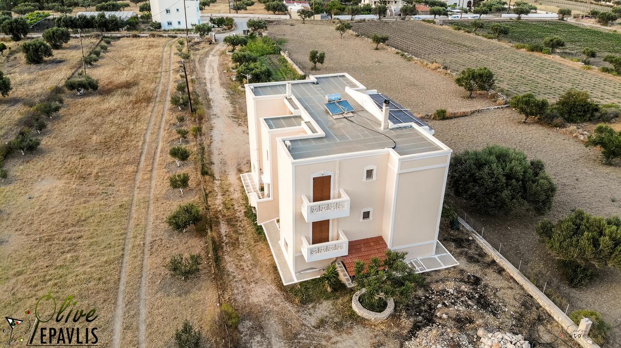 Olive Epavlis Apartment Karpathos Exterior photo