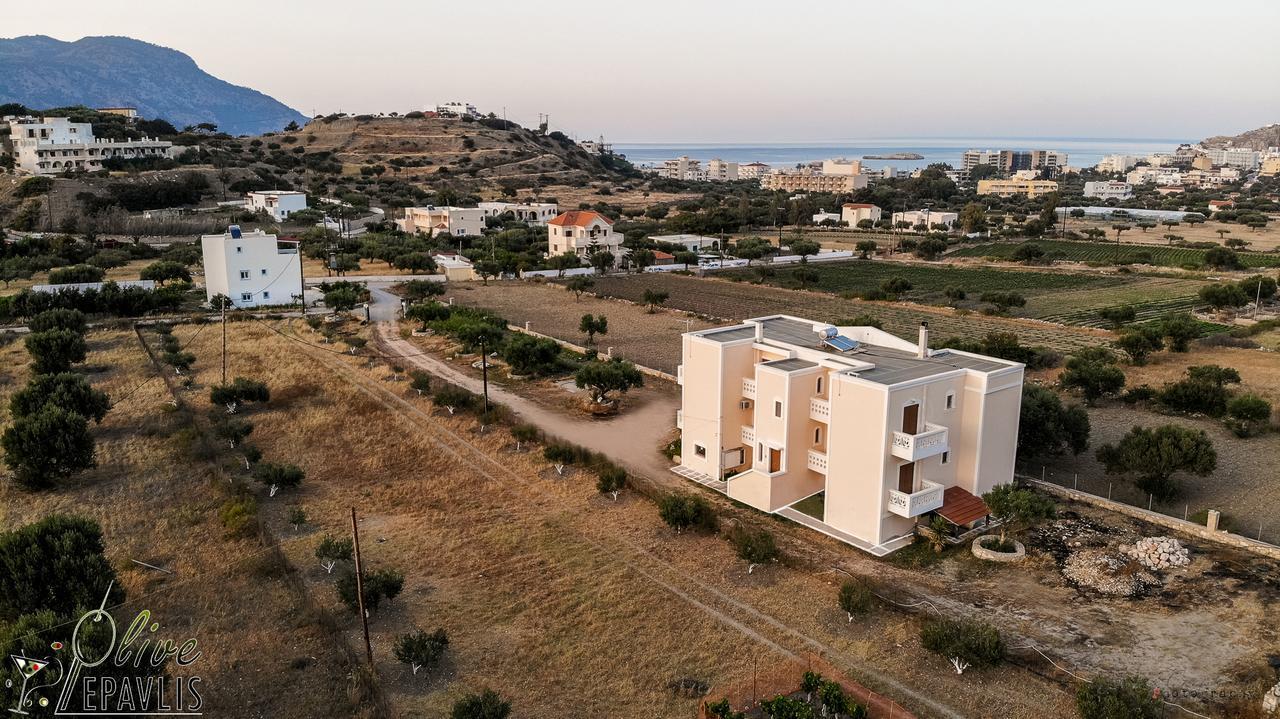 Olive Epavlis Apartment Karpathos Exterior photo