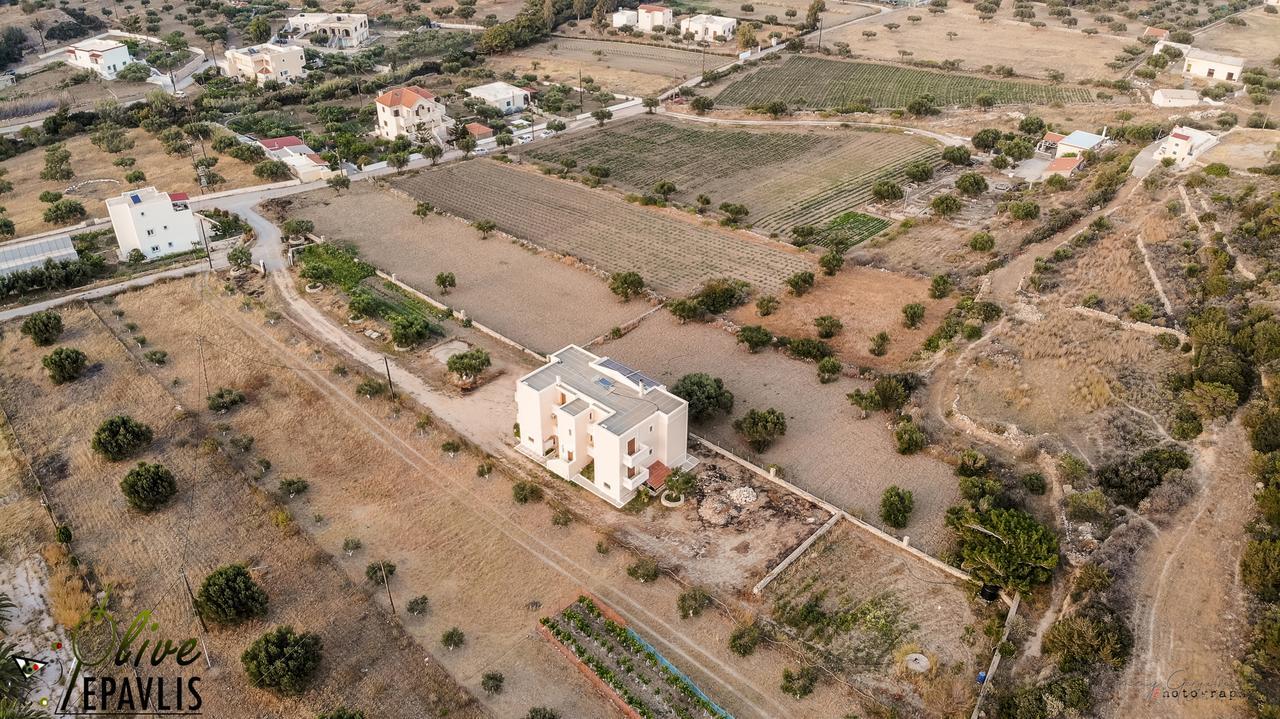 Olive Epavlis Apartment Karpathos Exterior photo