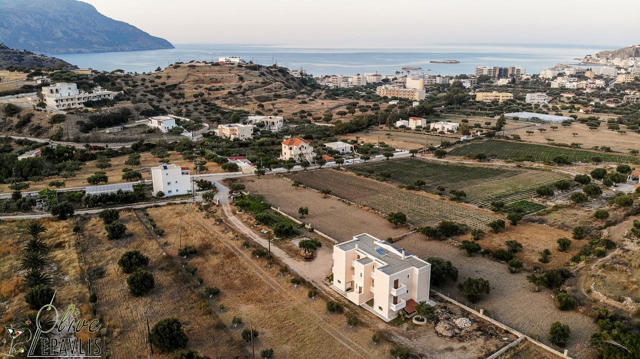 Olive Epavlis Apartment Karpathos Exterior photo